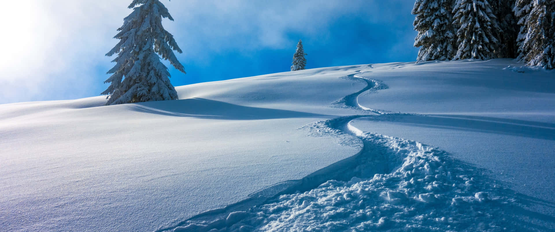 1. Enjoy The Beautiful White Of Winter Background