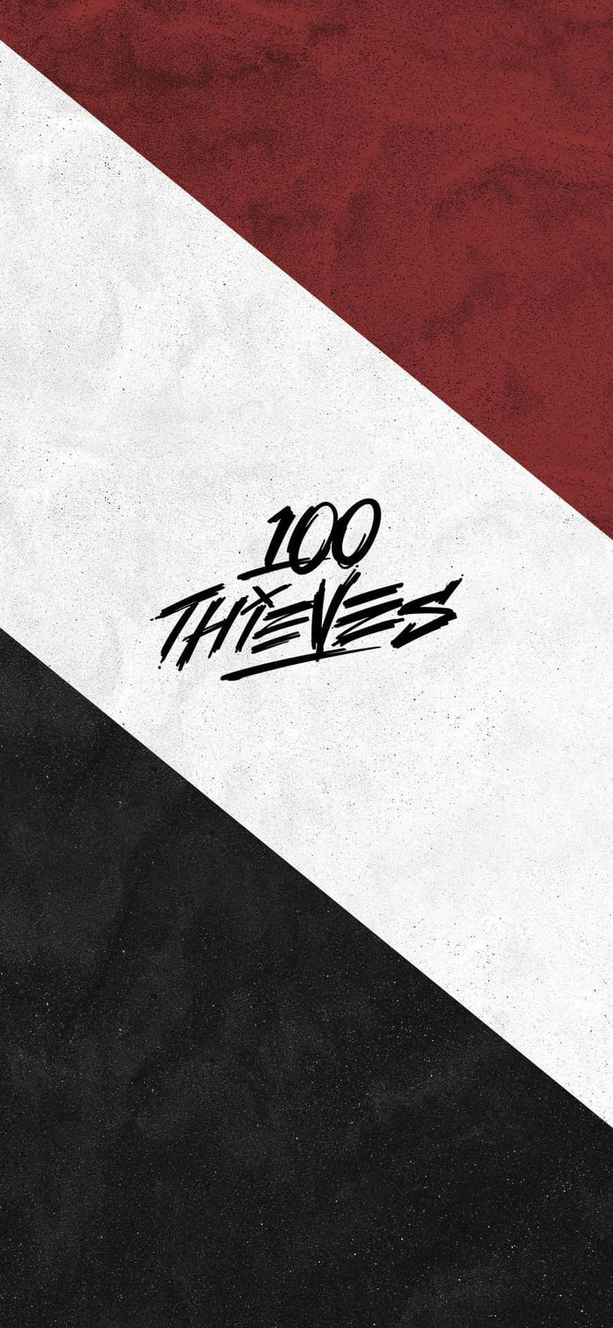 100 Thieves On A Flag