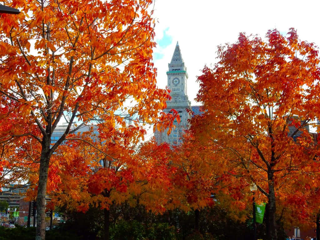 1024 X 768 Autumn Armenian Heritage Park Background