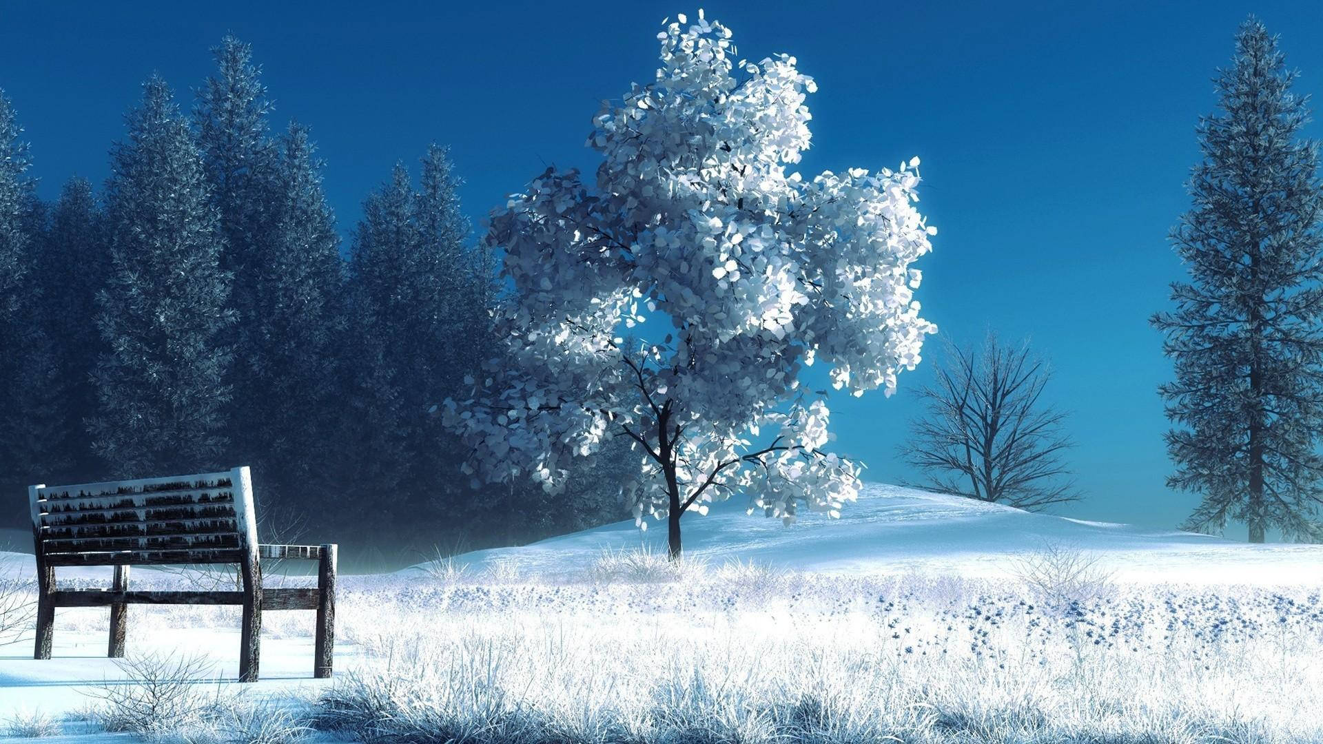 1080p Hd Bench And Trees During Winter Background