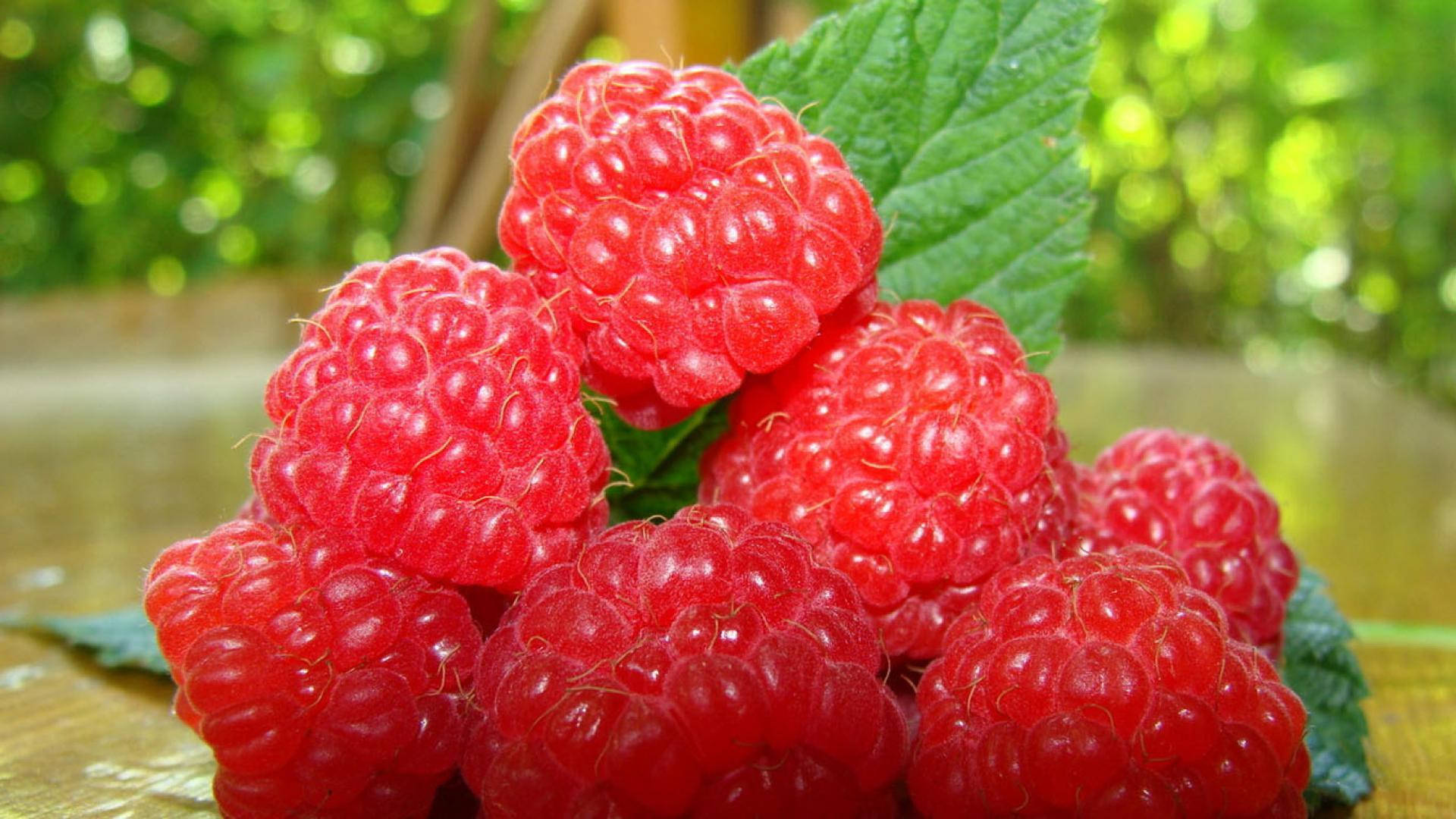 1080p Hd Raspberries Close-up Background