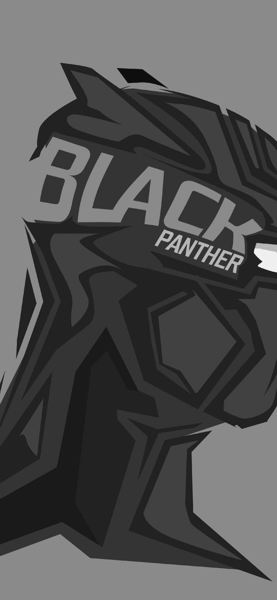 1080x2340 4k Black Panther Monochrome Digital Art Background