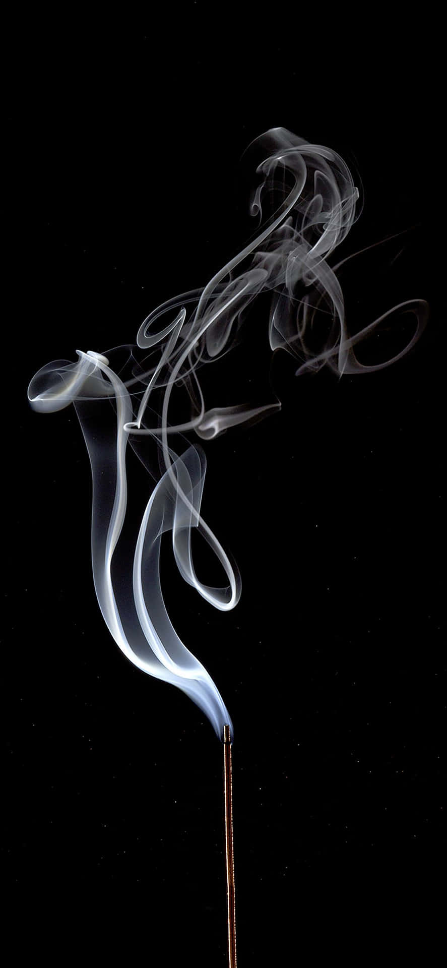 1170x2532 White Smoke Creative Shot Background
