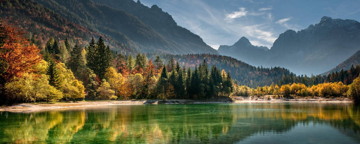 1200x480 Lake With Pine Trees Background