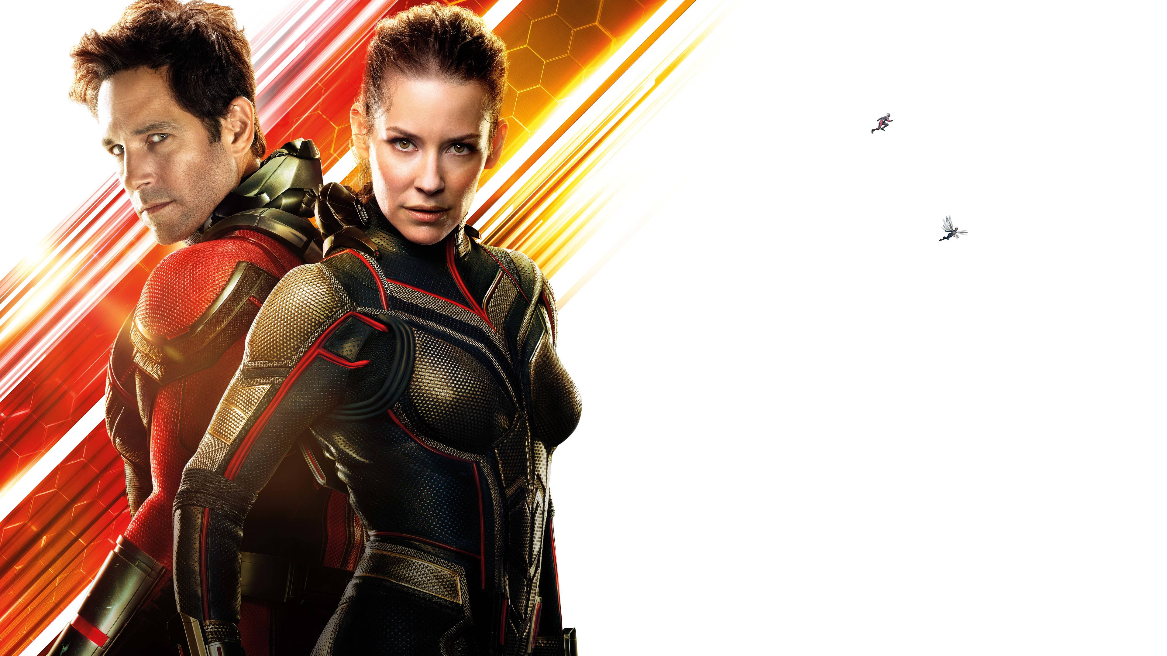 12k Ant-man And The Wasp Background