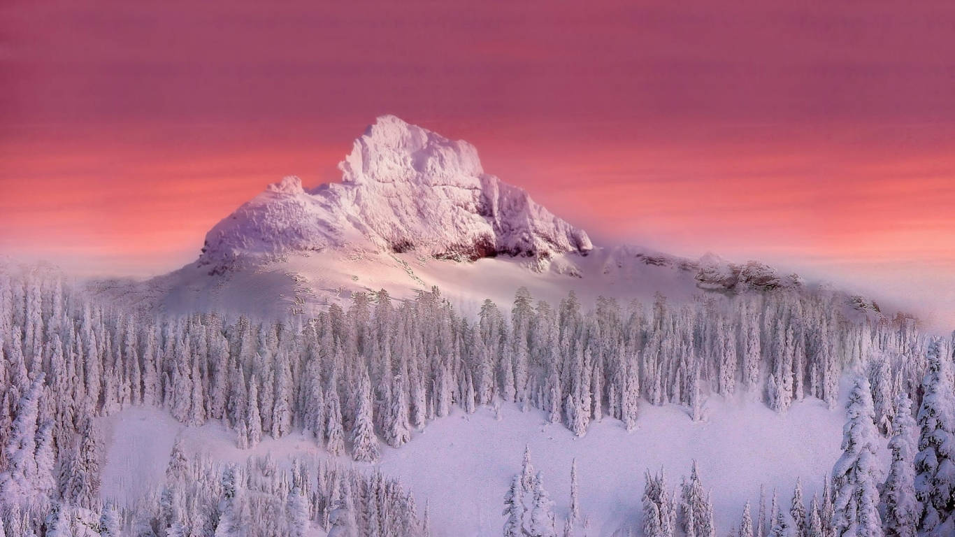 1366 X 768 Winter Forest Sunset Sky Background