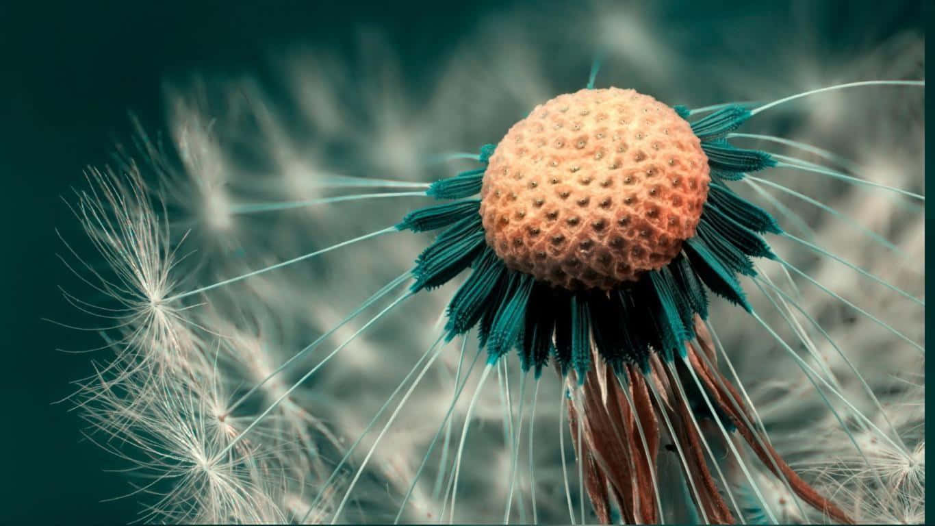 1366x768 High Definition Desktop