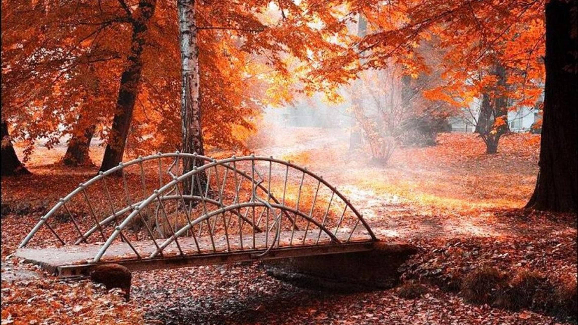 1920x1080 4k Bridge In Autumn Forest Background