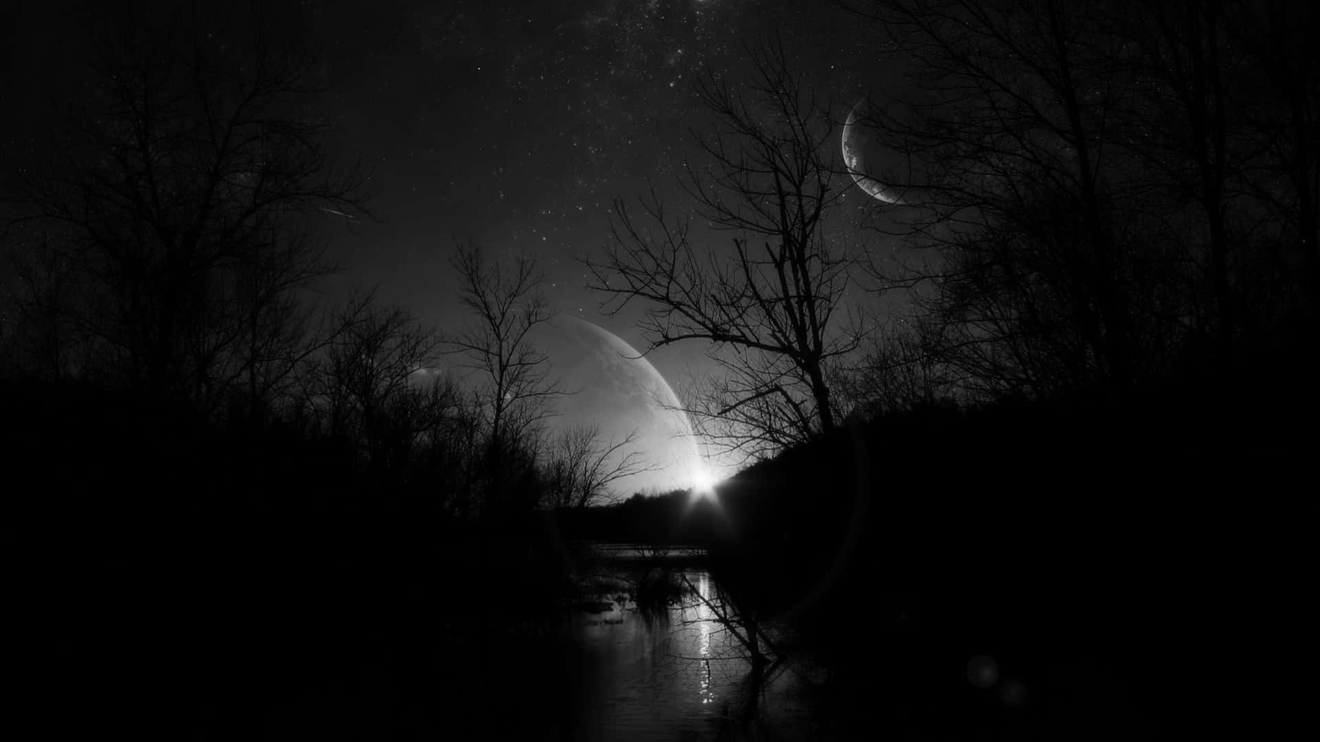 1920x1080 Black Forest River View Background