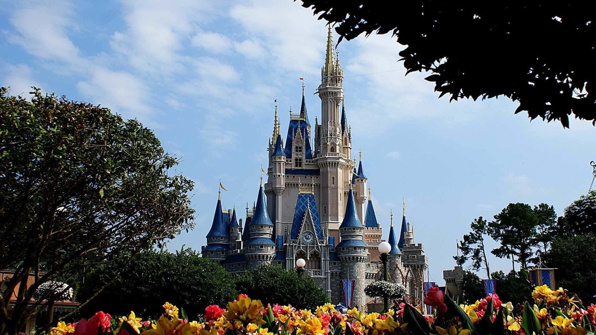 1920x1080 Disney Castle With Flower Field Background