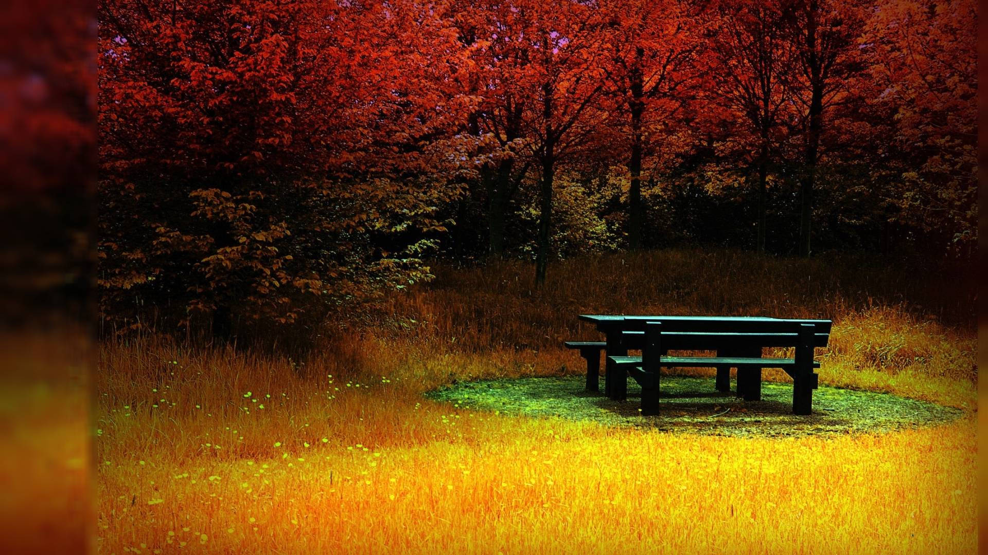 1920x1080 Full Hd Picnic Table In Autumn Background