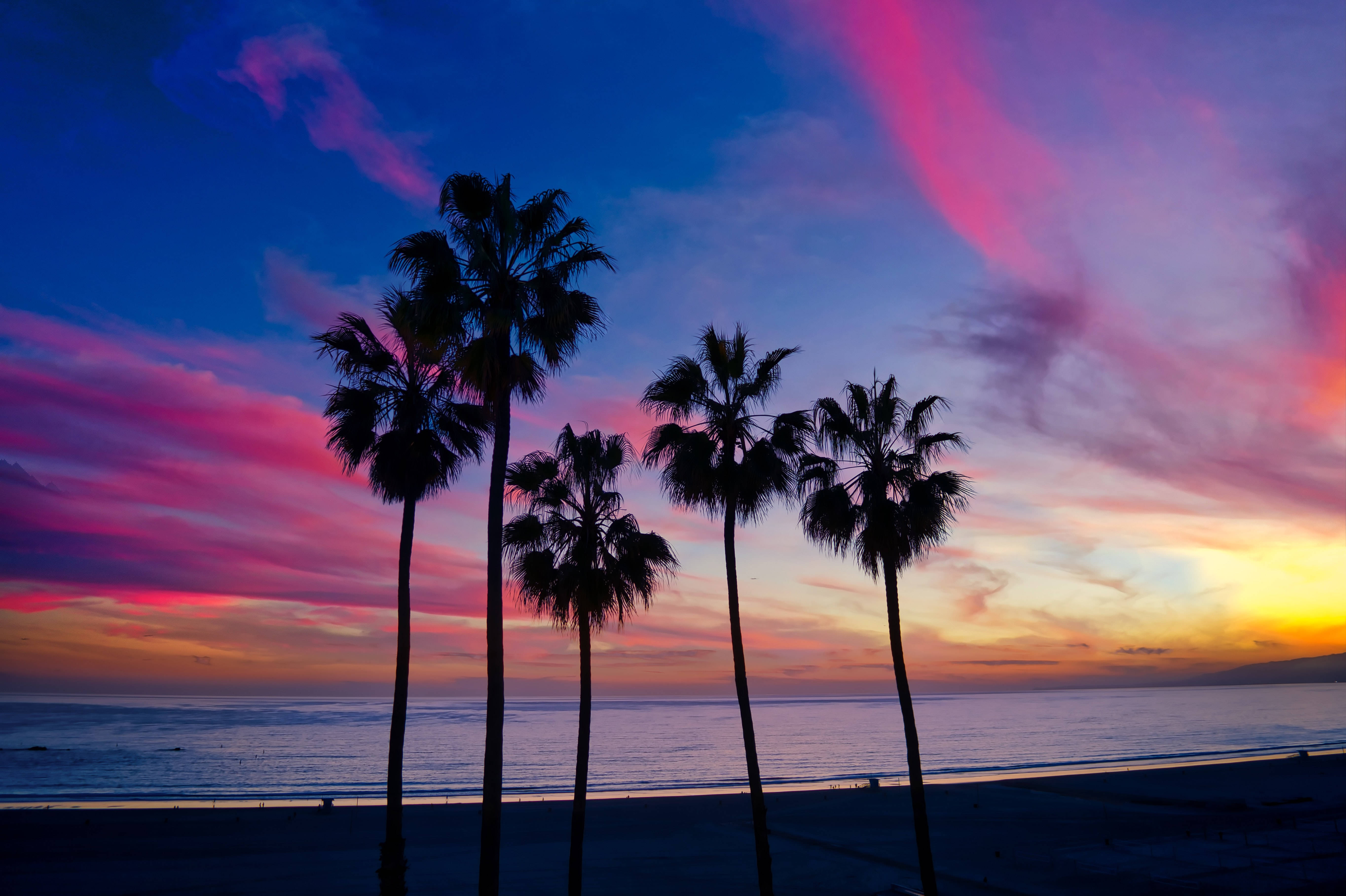 1920x1080 Hd Beach Desktop Palm Trees Silhouette Background