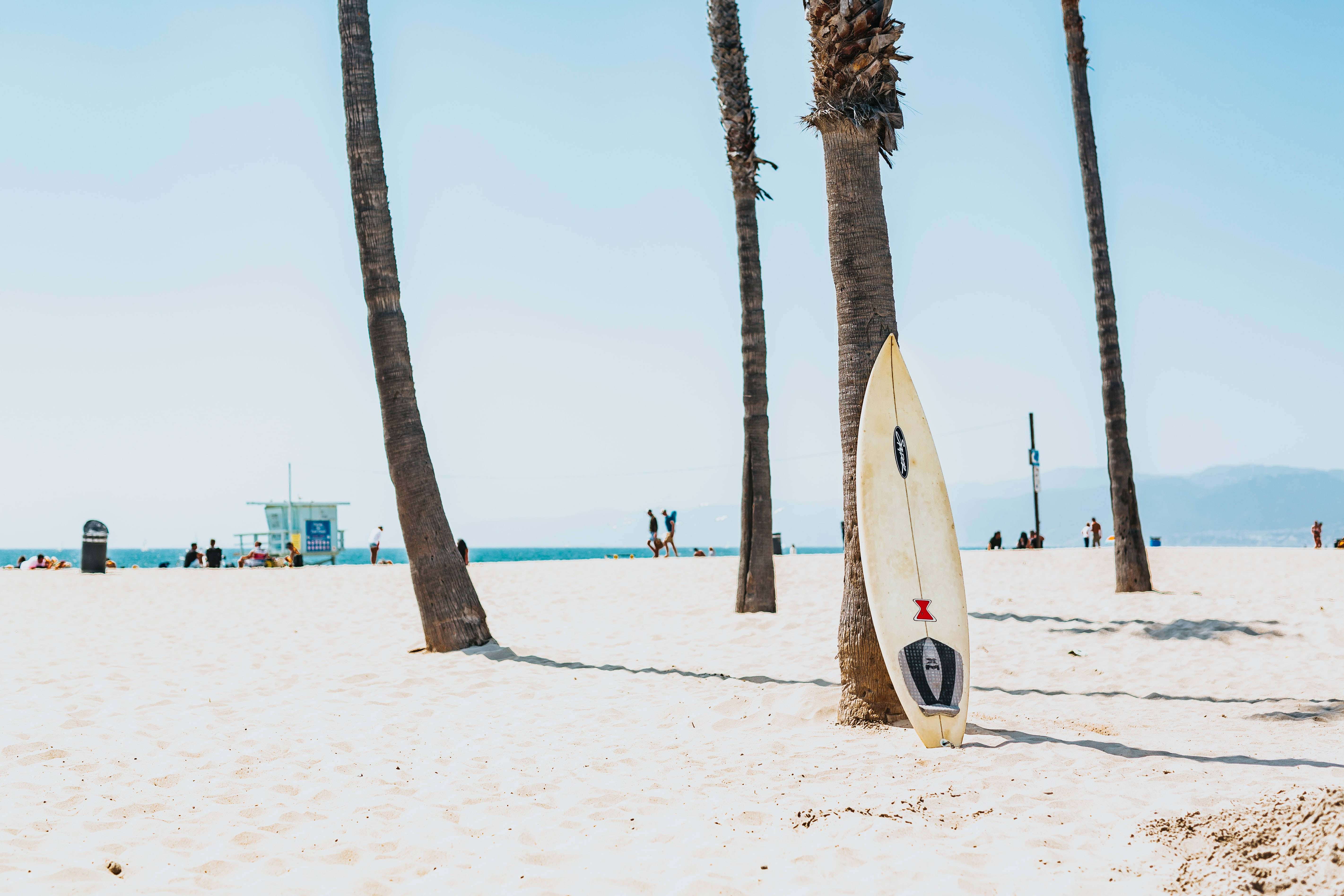 1920x1080 Hd Beach Desktop Surfboard And Palm Tree Background