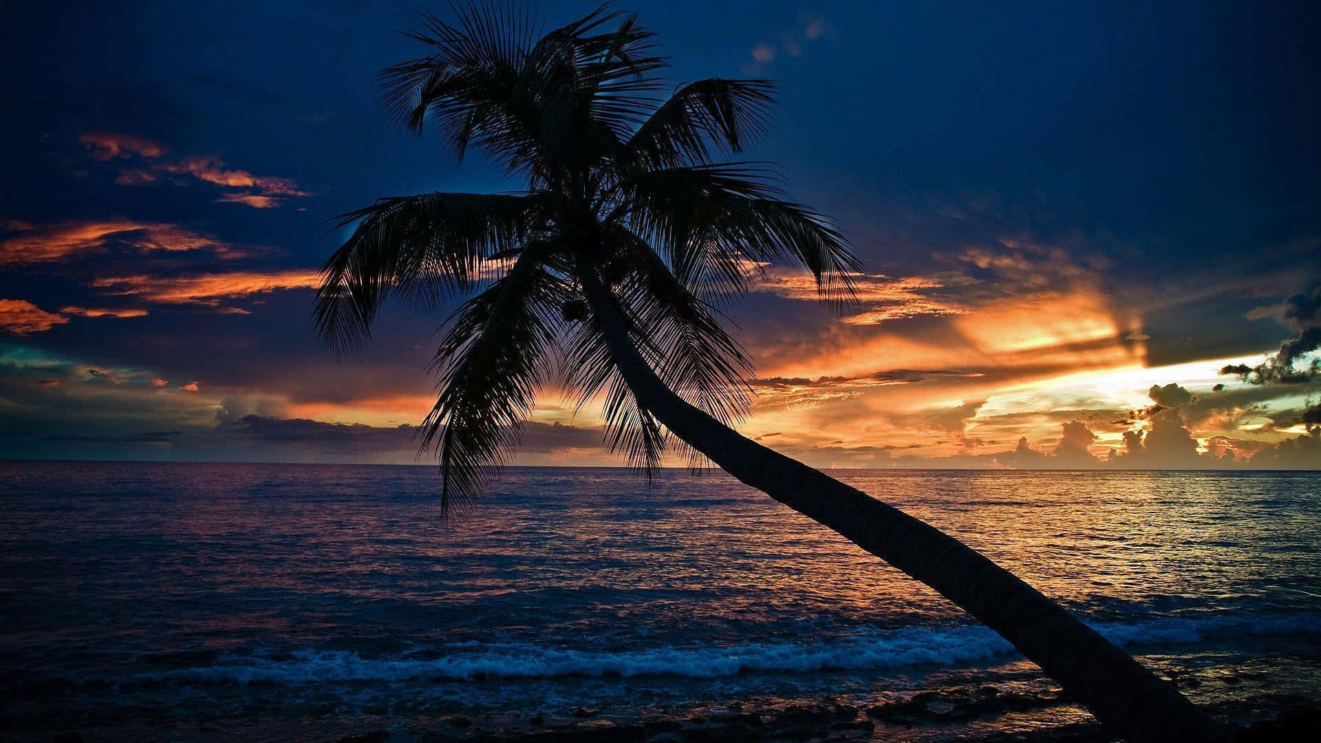 1920x1080 Hd Beach With Trees Background