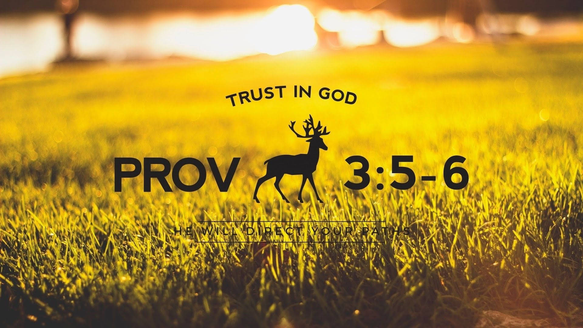 1920x1080 Hd Biblical Proverbs 3:5-6 Background