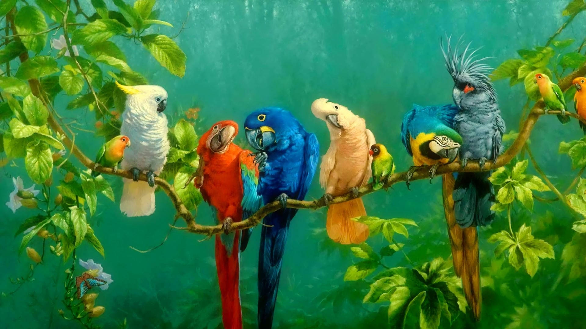 1920x1080 Hd Birds Parrot Background