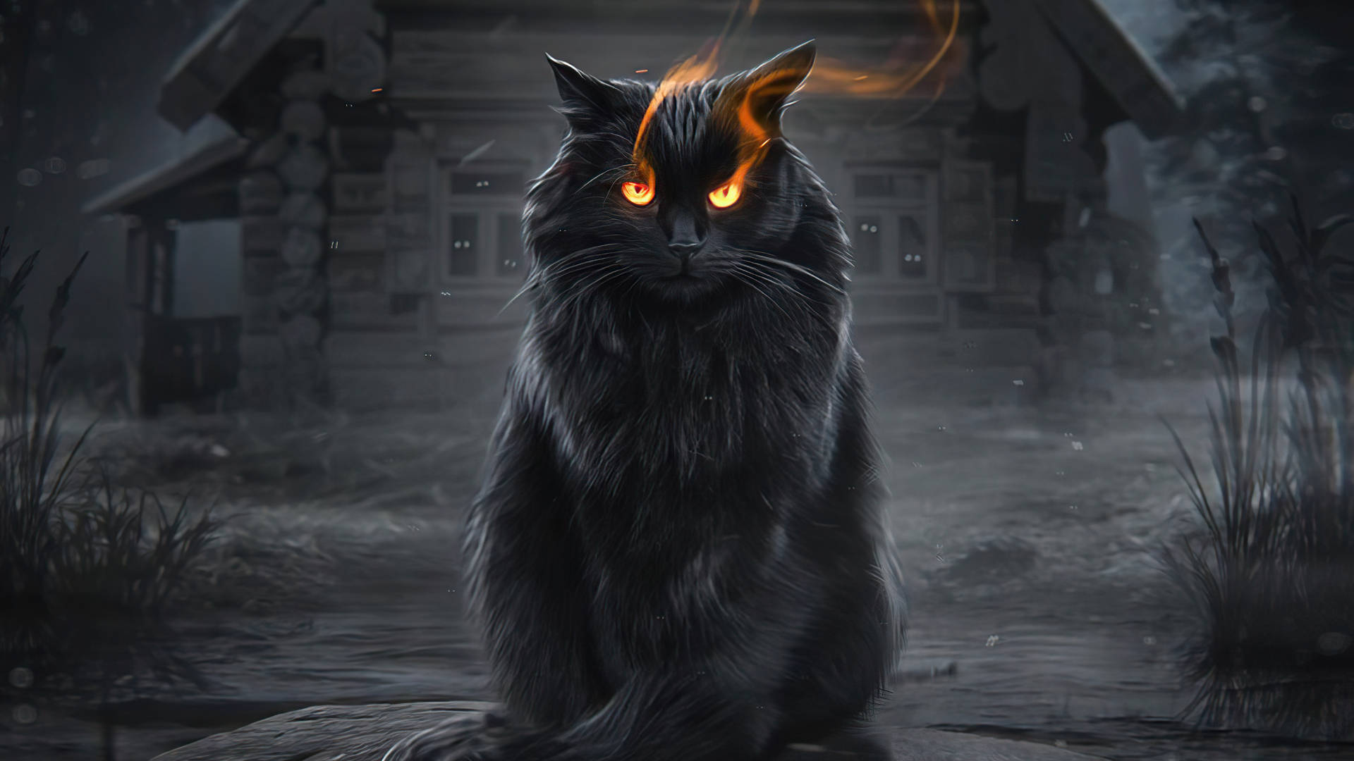 1920x1080 Hd Cat Fiery Eyes Background