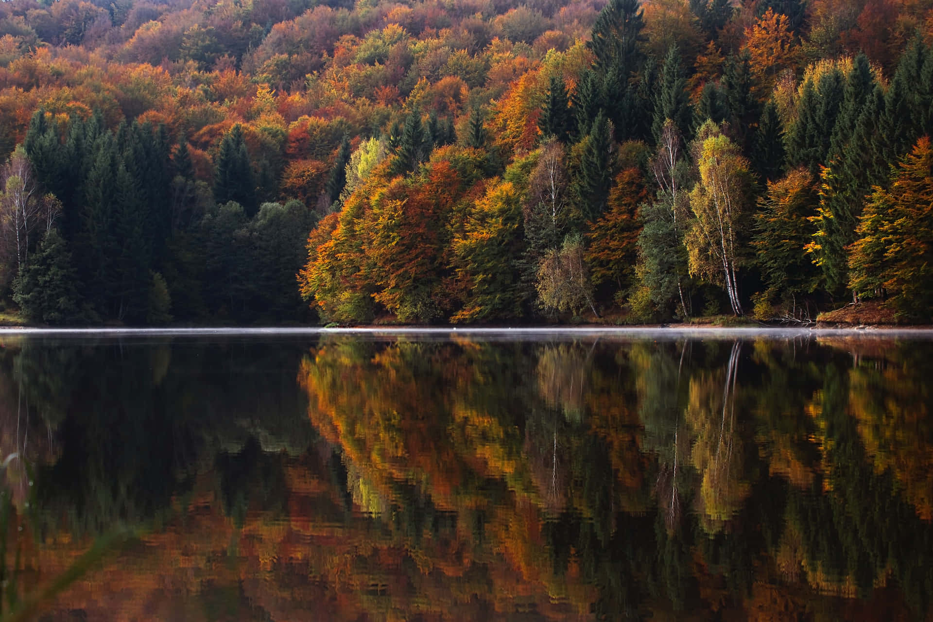 1920x1080 Hd Fall Trees Lake Background