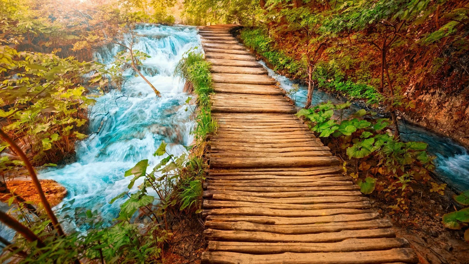 1920x1080 Hd Fall Wooden Bridge Middle Of Forest Background