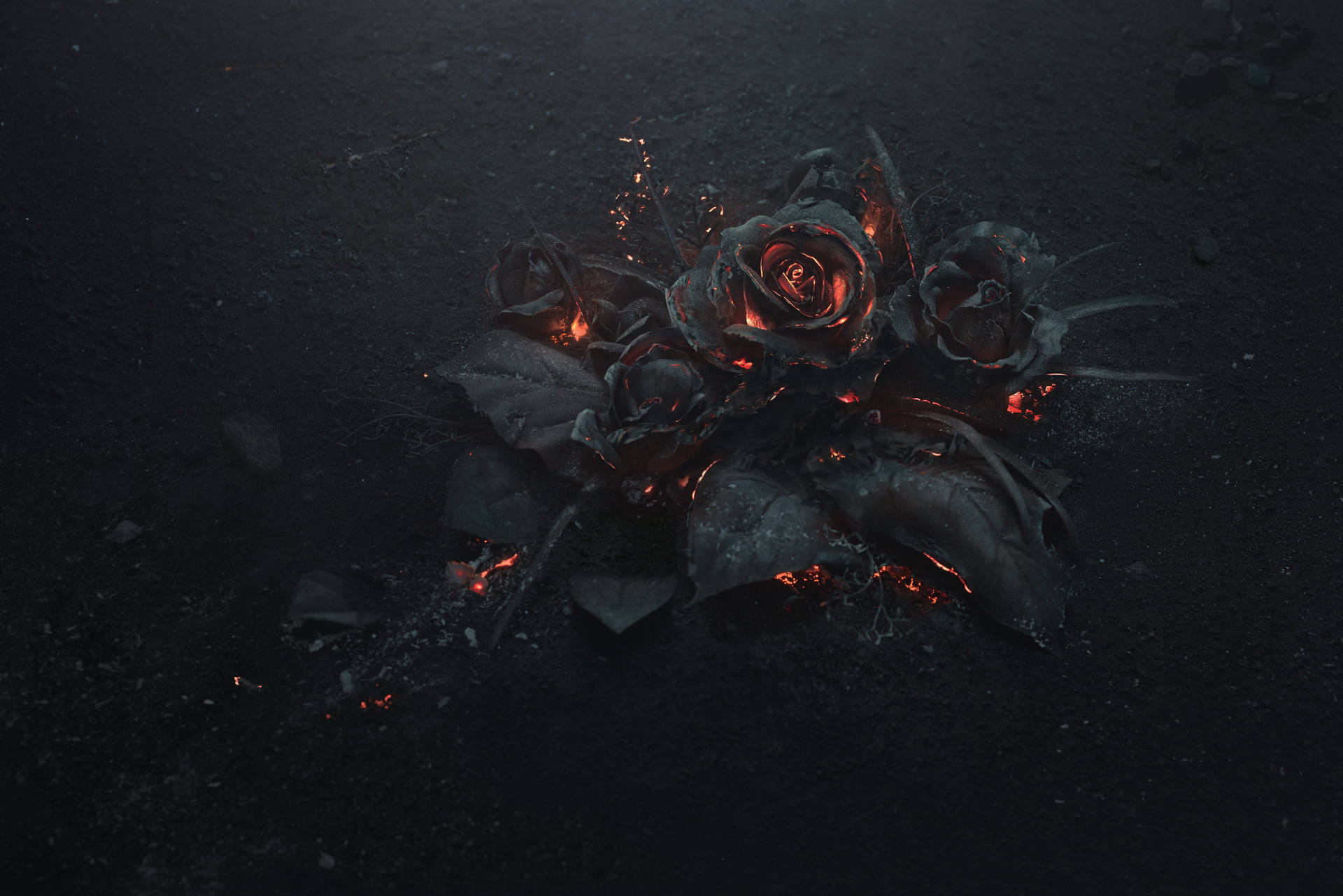 1920x1080 Hd Flower Black