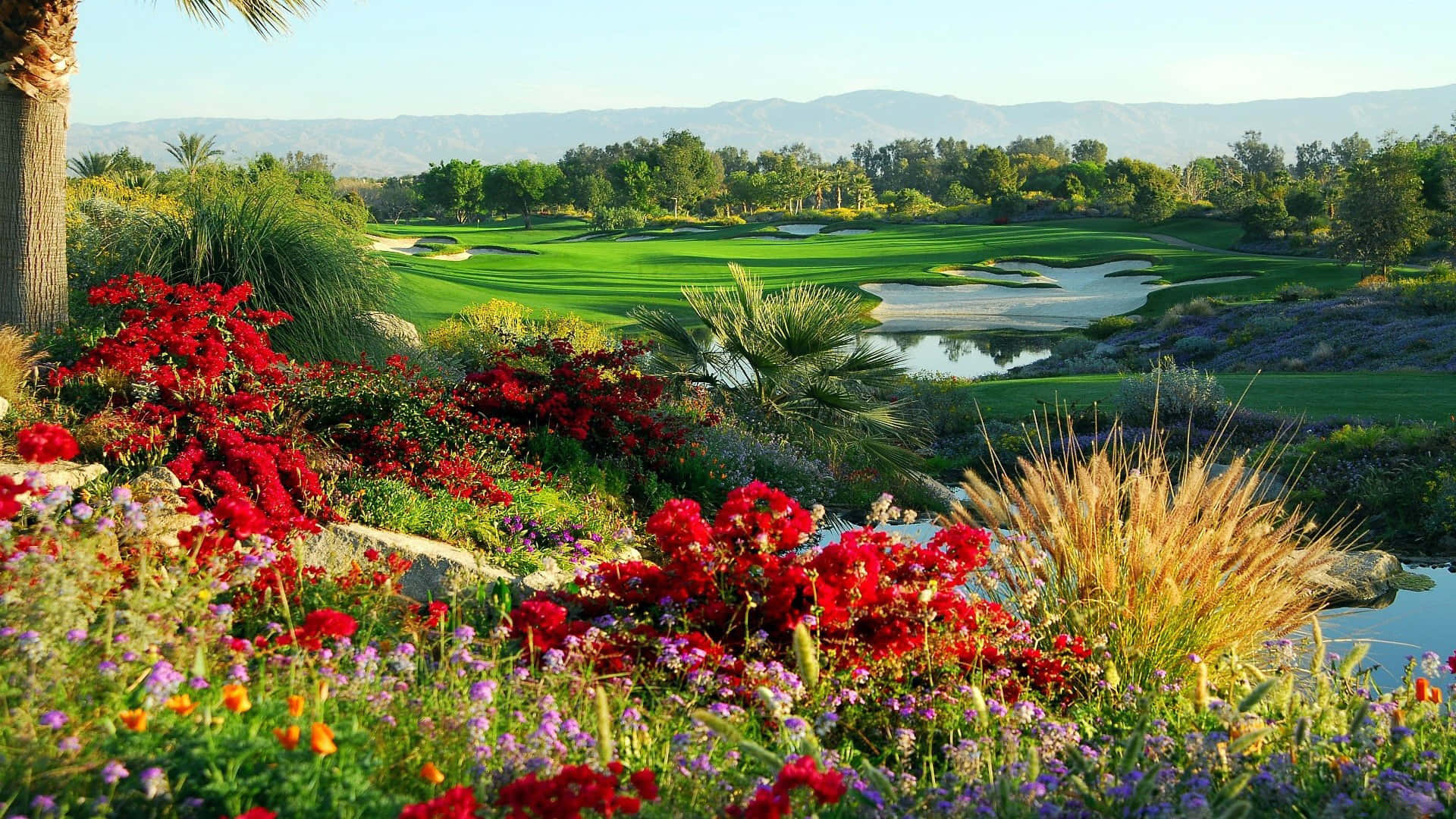 1920x1080 Hd Golf Iphone Lock Screen Background
