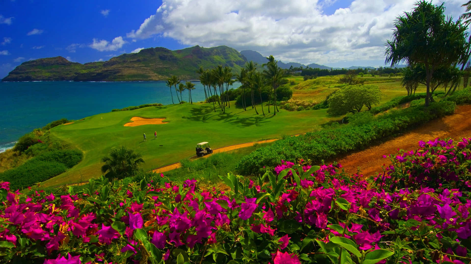 1920x1080 Hd Golf Iphone Theme Background