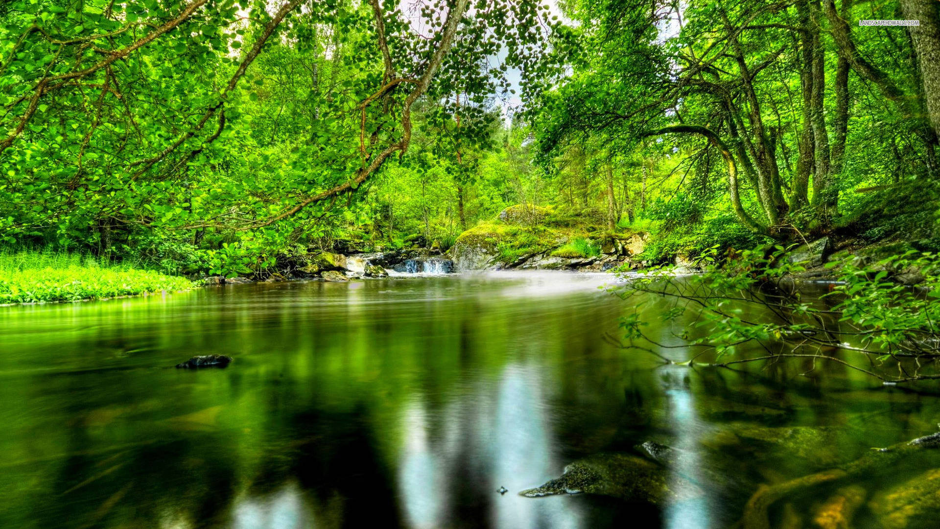 1920x1080 Hd Nature Forest River