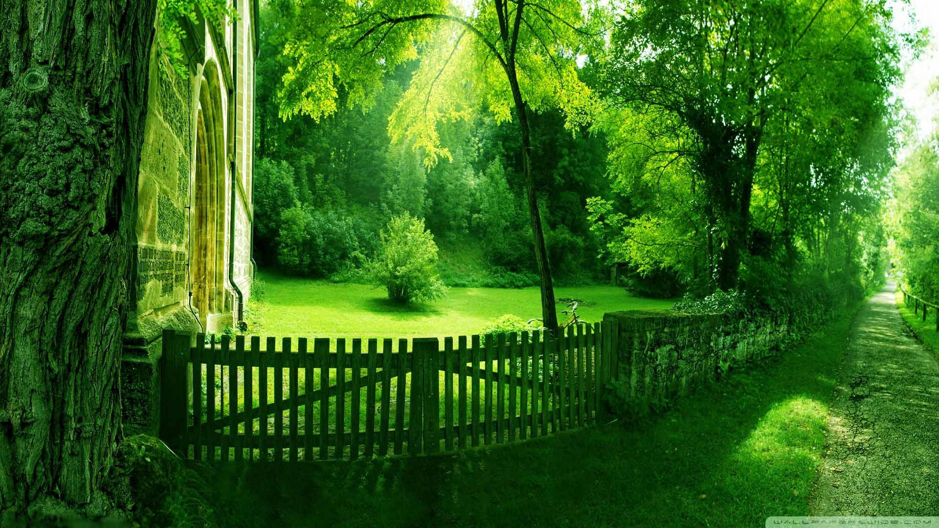 1920x1080 Hd Nature Green Spring Background