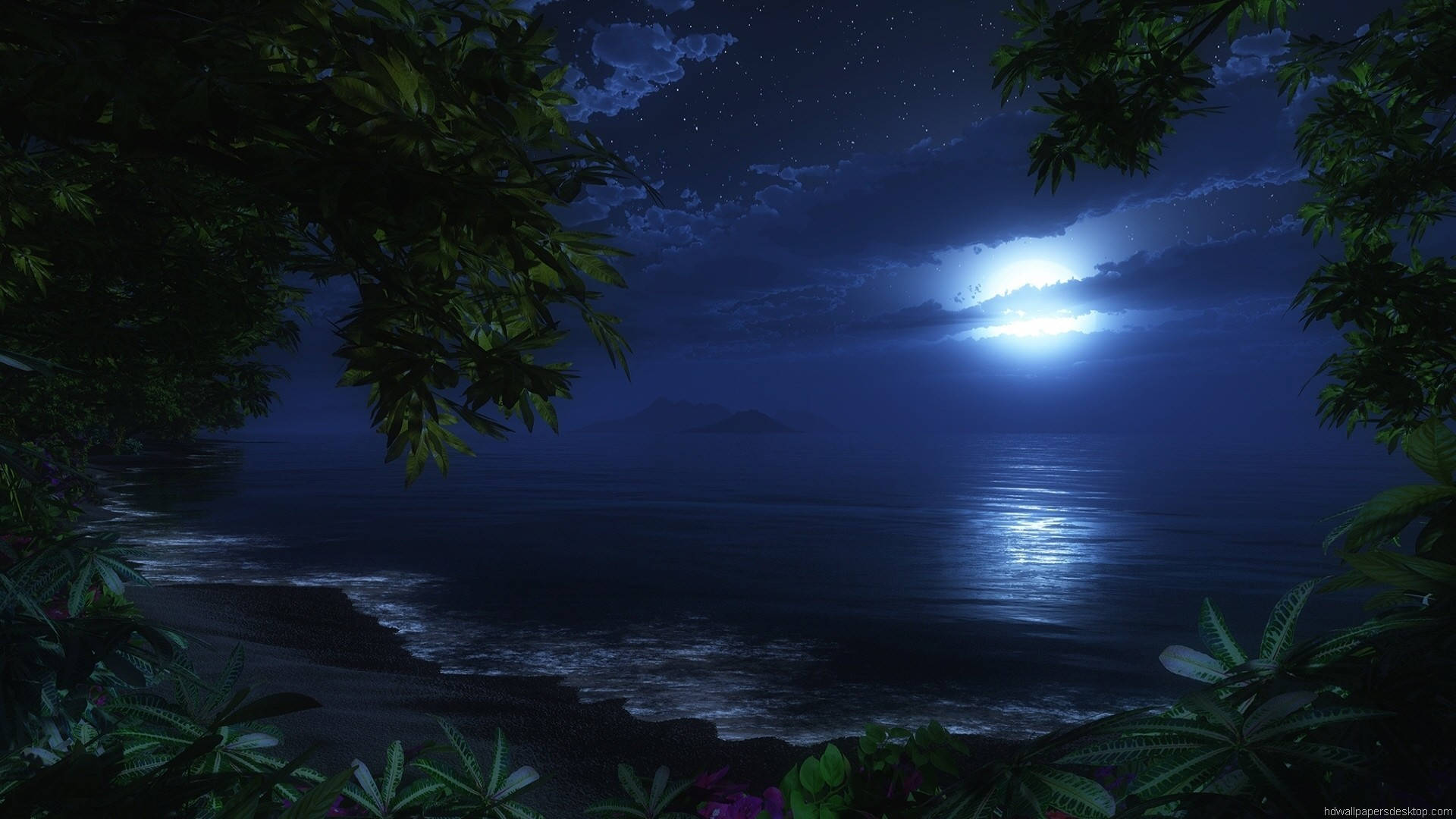 1920x1080 Hd Nature Moonlight Shadow Background