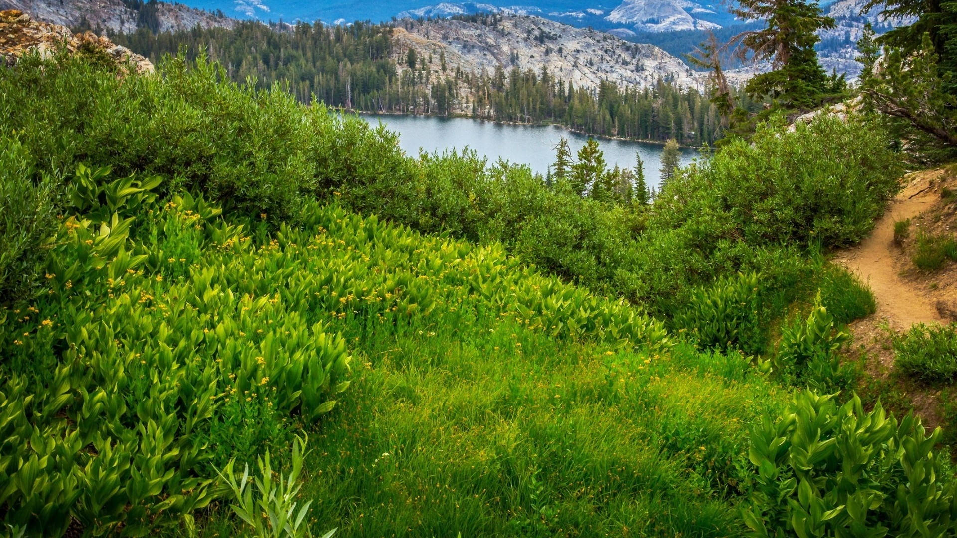 1920x1080 Hd Nature Yosemite Park Background