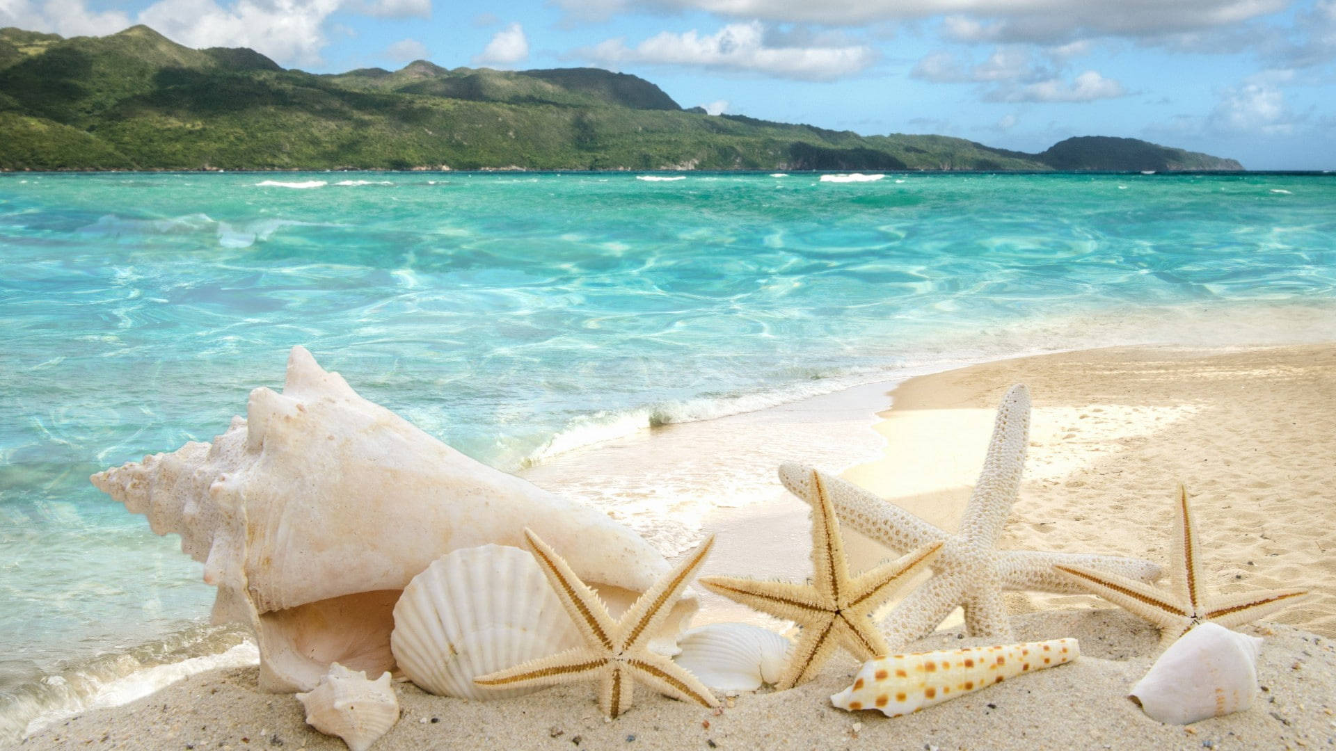 1920x1080 Hd Summer Seashells Background