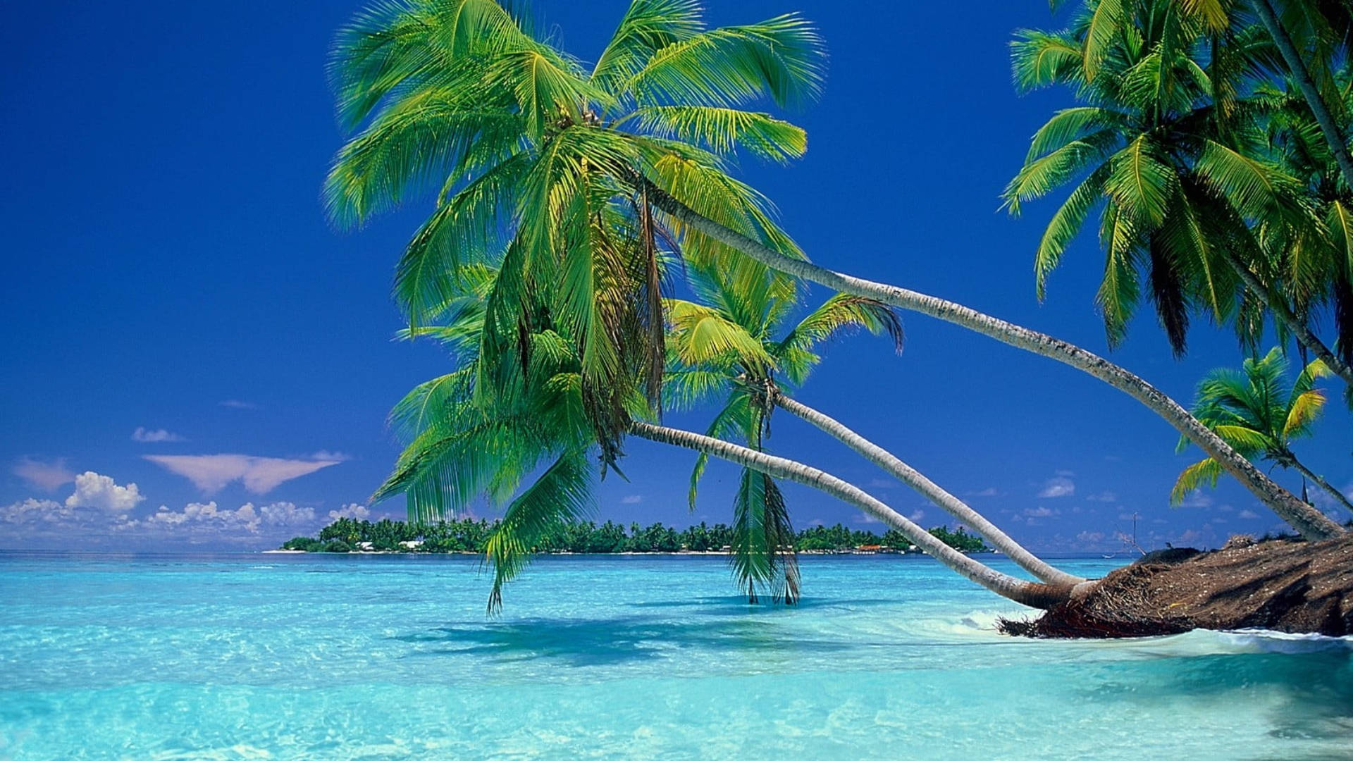 1920x1080 Hd Summer Tropical Paradise Background