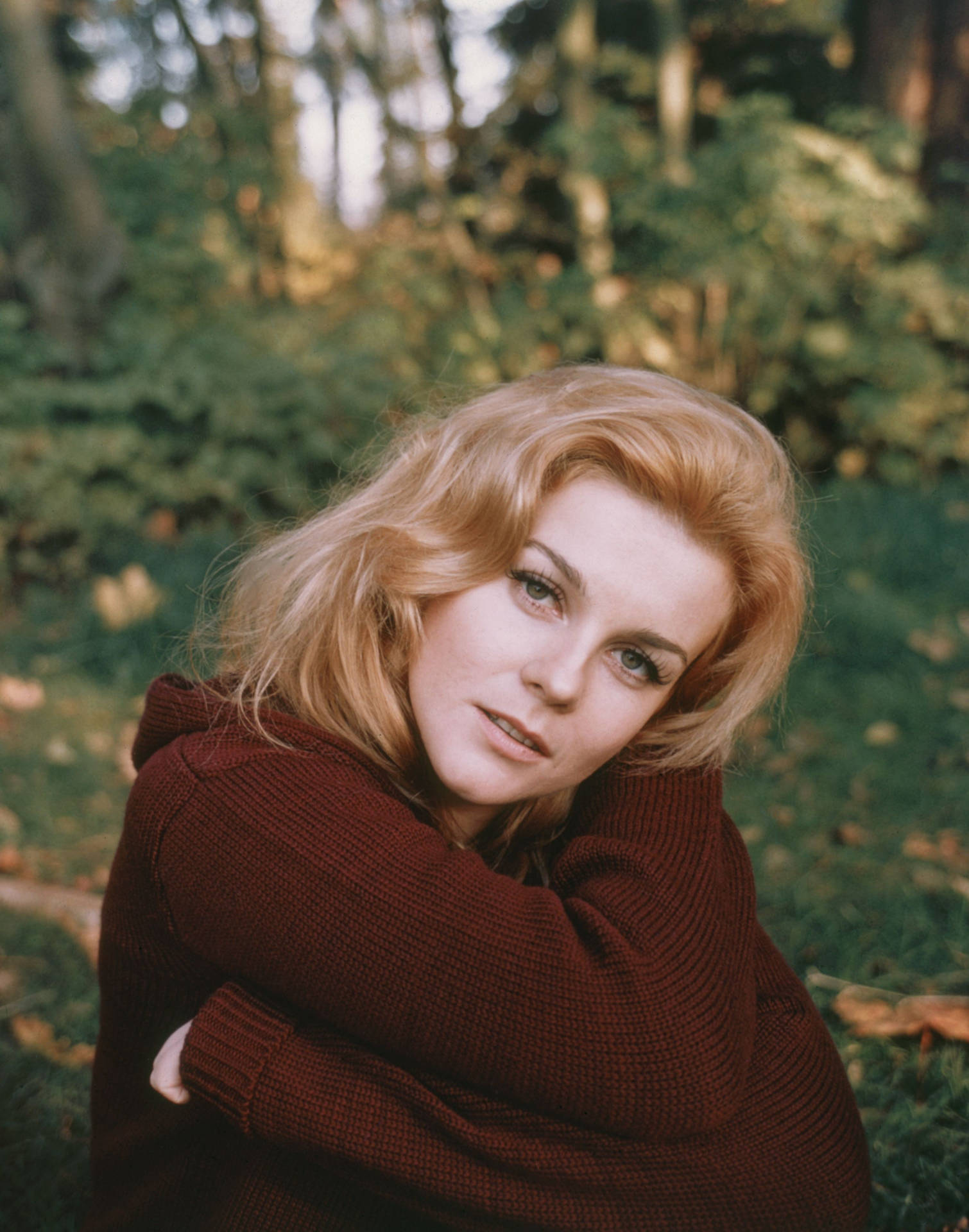 1965 Ann Margret On The Set Of Carnal Knowledge Background