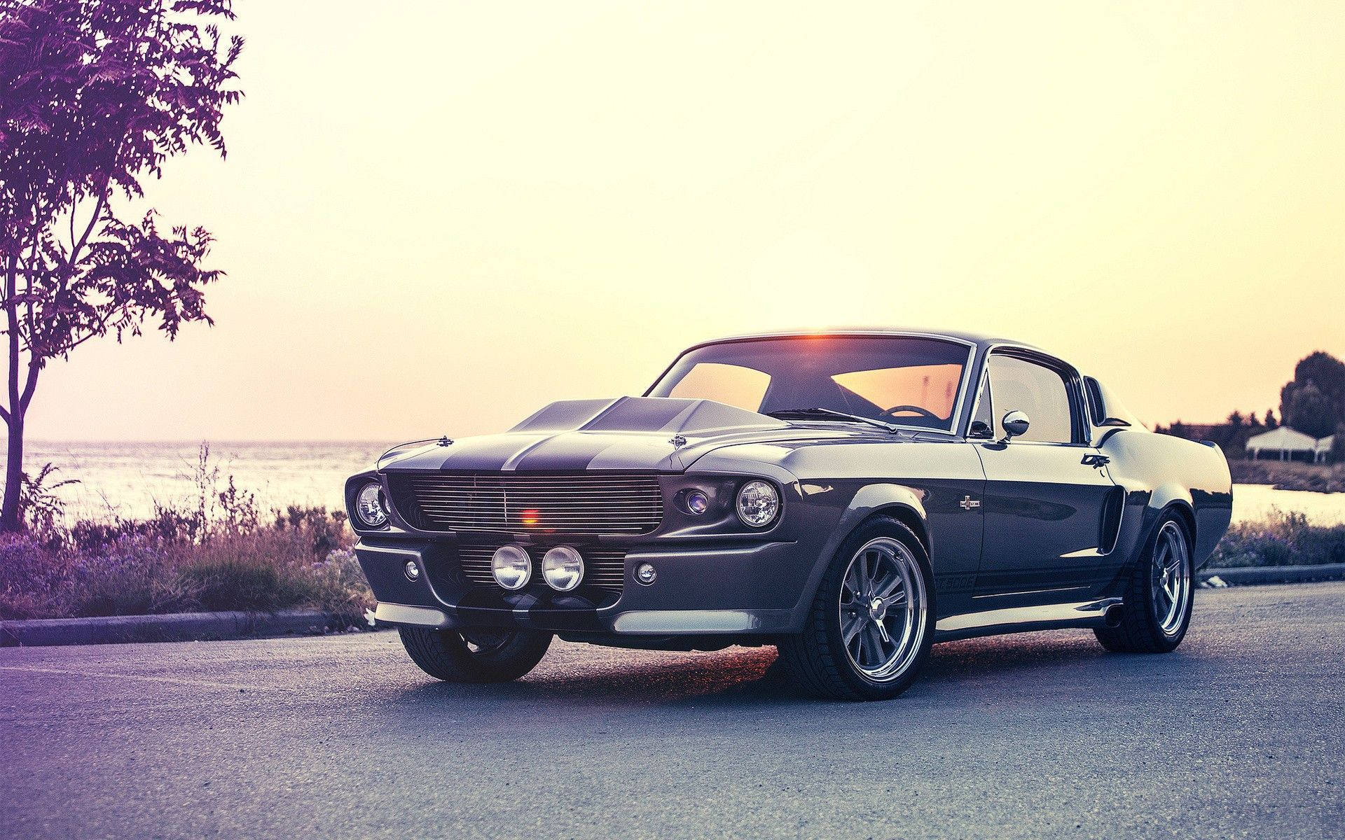 1967 Ford Mustang Classic Car Background