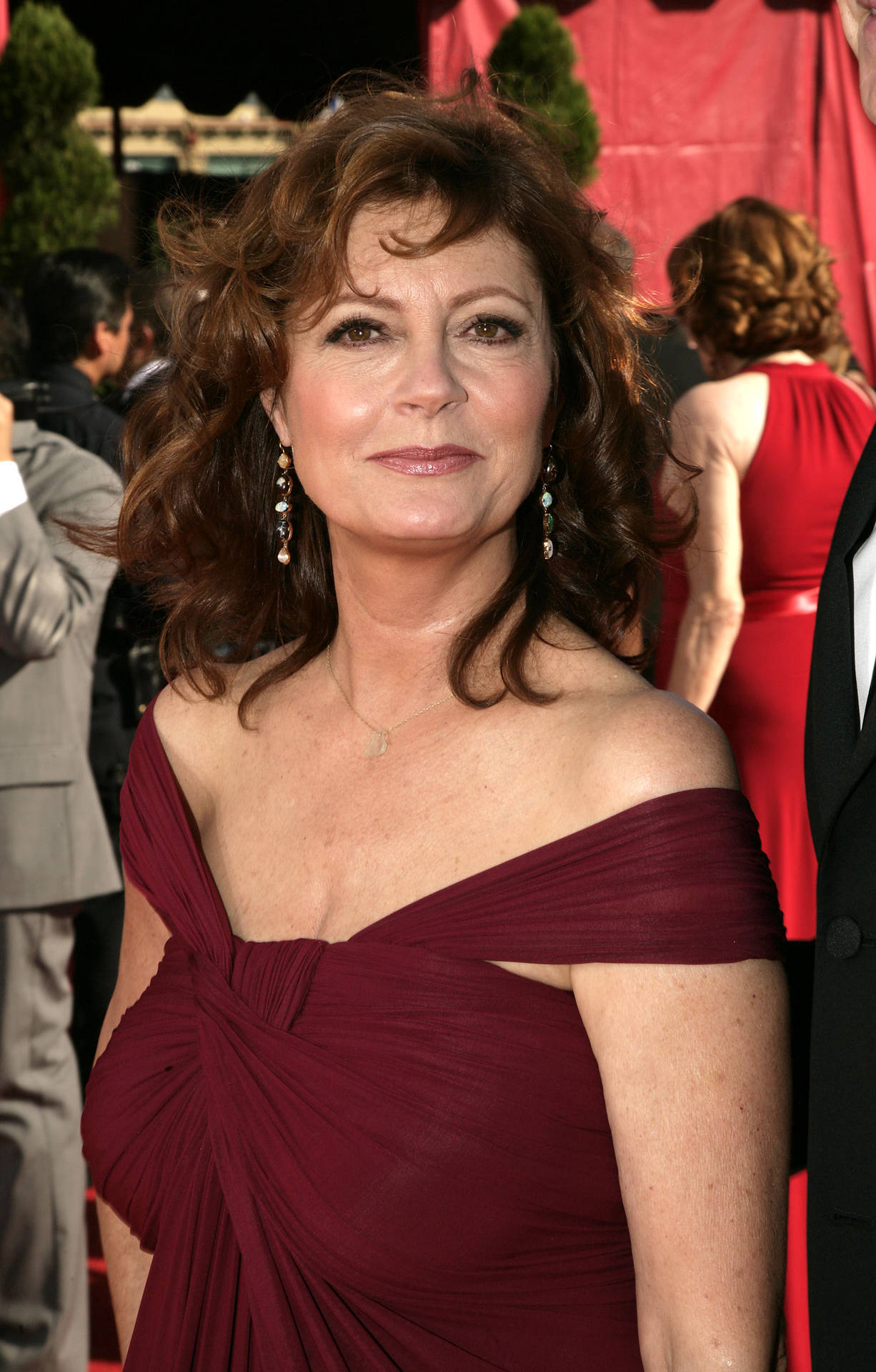 2008 Emmy Awards Susan Sarandon Background