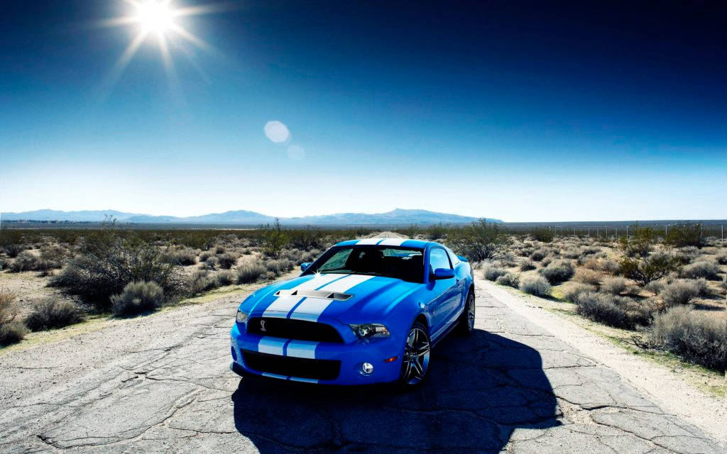 2010 Blue Mustang Hd Shelby Desert