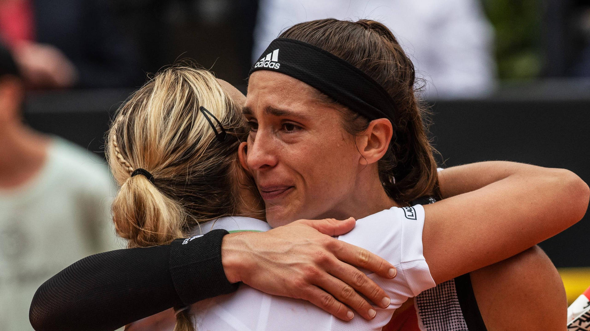 2014 Fed Cup Final Andrea Petkovic Background