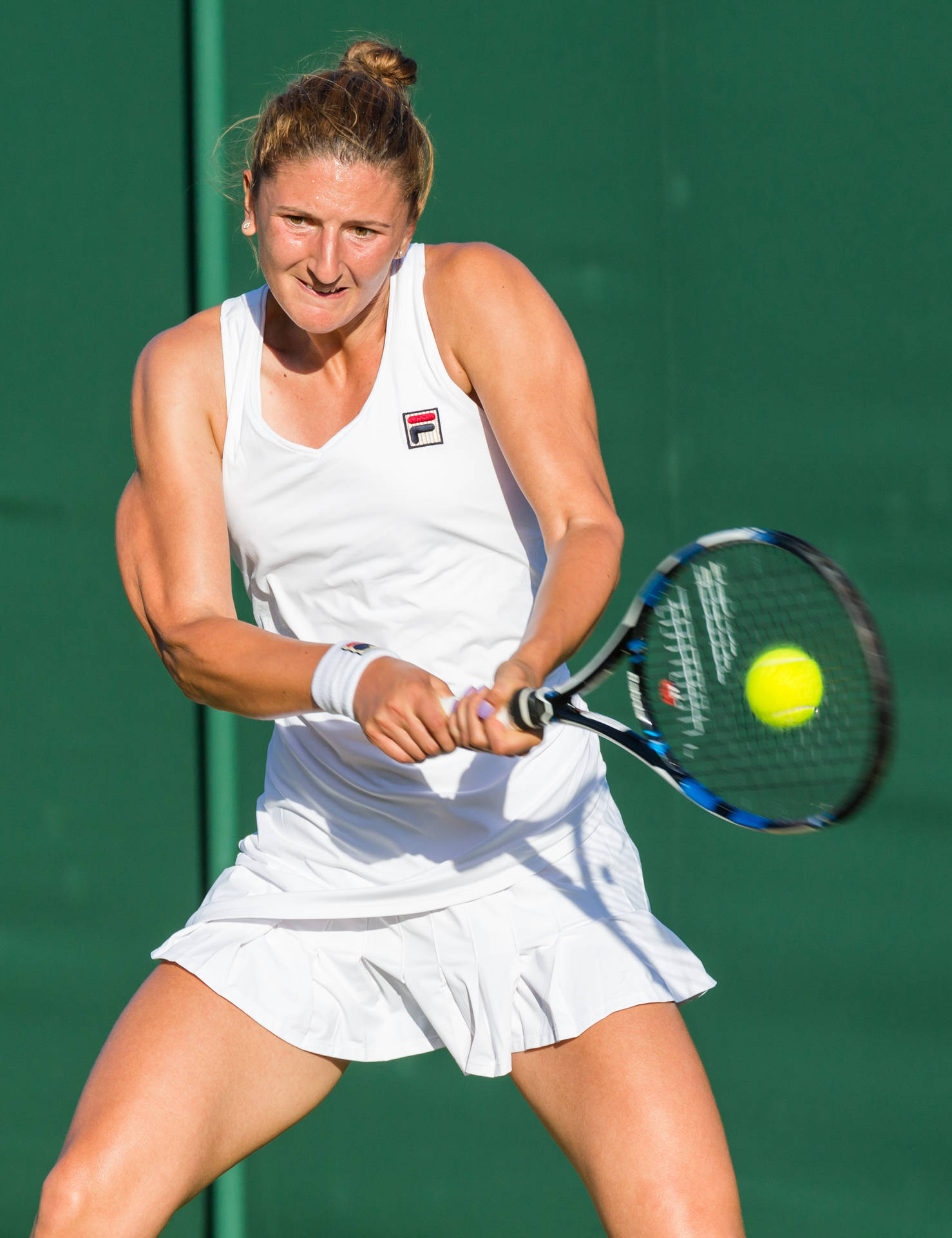 2015 Wimbledon Championships Irina-camelia Begu Background