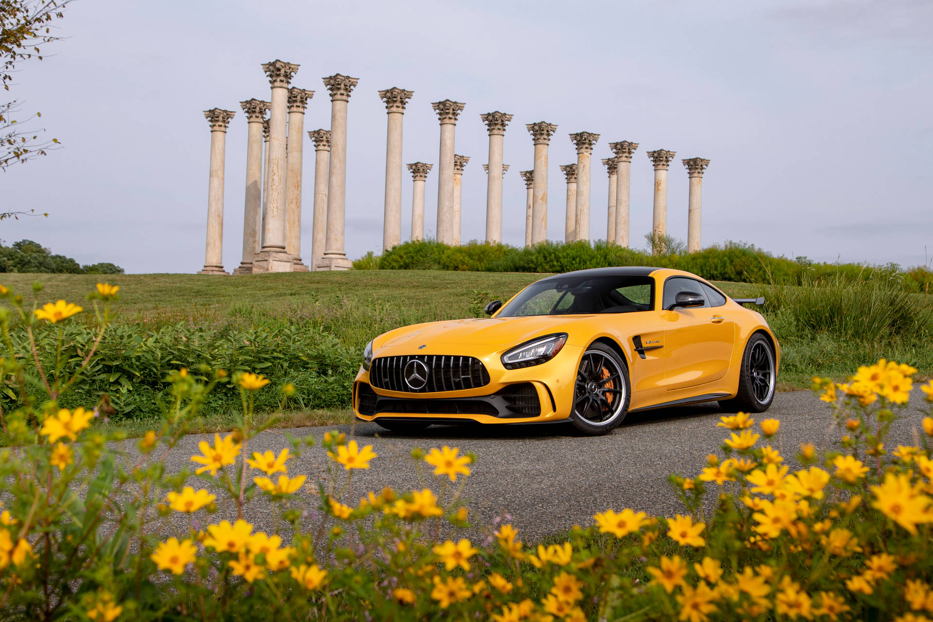 2020 Mercedes Amg Gt R Pro Car Background