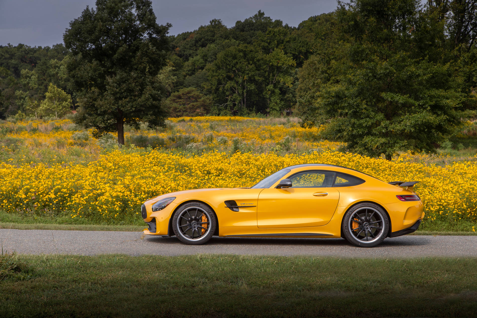 2020 Mercedes Amg Gt R Pro Vehicle Background