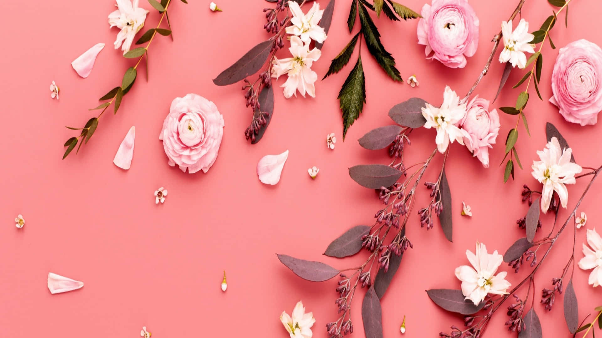 2048x1152 Aesthetic Pastel Pink Flowers And Leaves Background