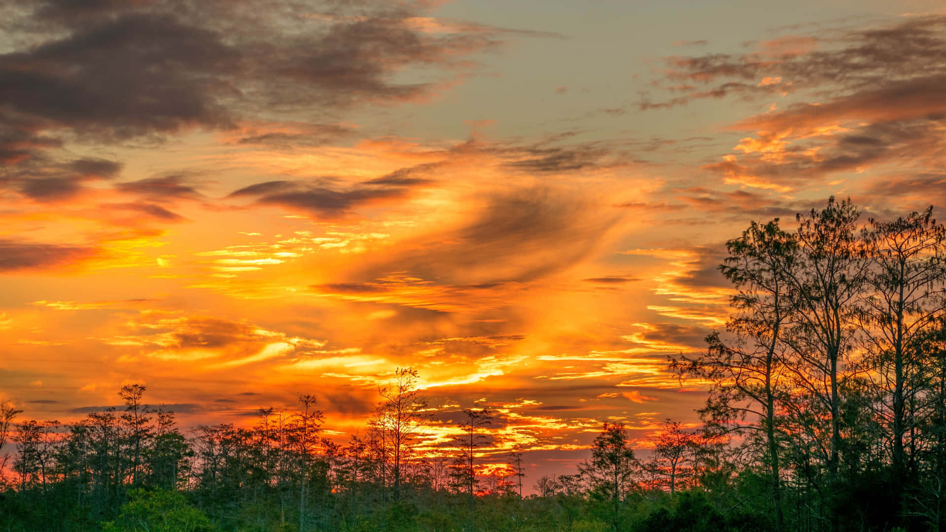 2048x1152 Aesthetic Trees In Orange Sunset Sky
