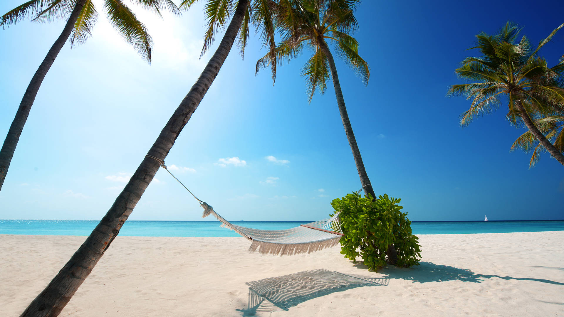 2560 X 1440 Relaxing Seaside Hammock Getaway Background