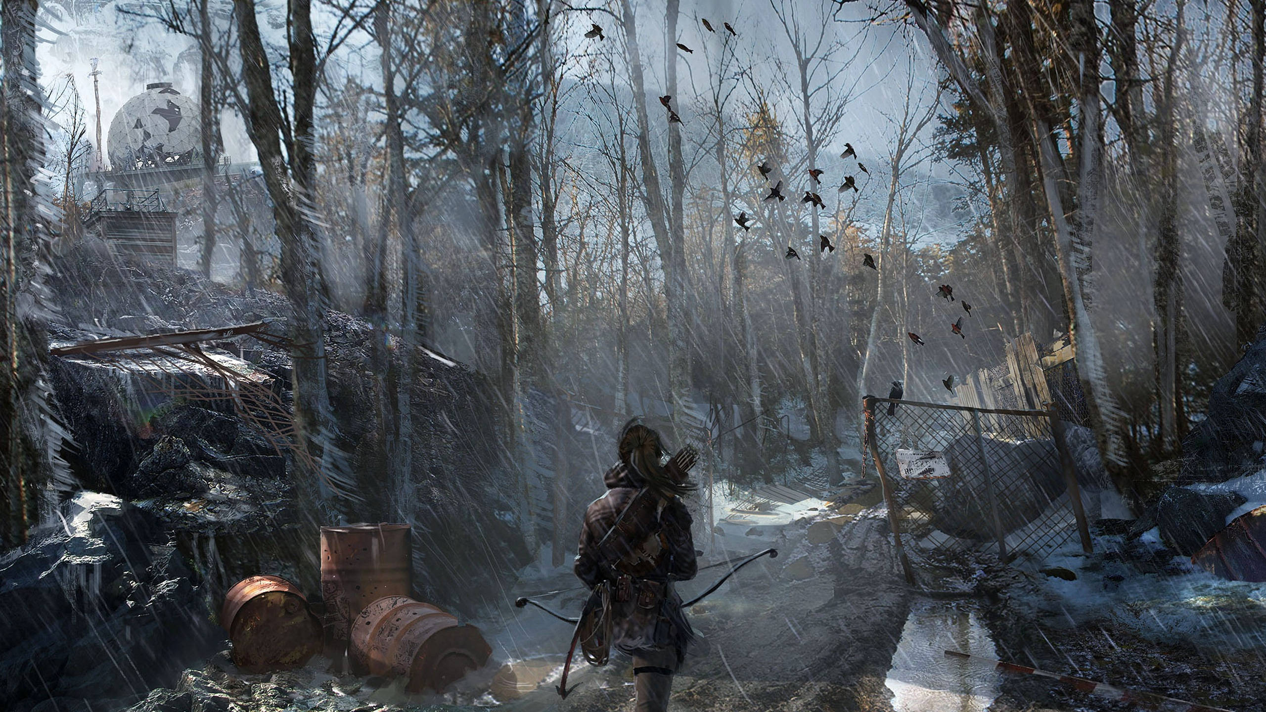 2560 X 1440 Tom Raider Snowy Forest Background