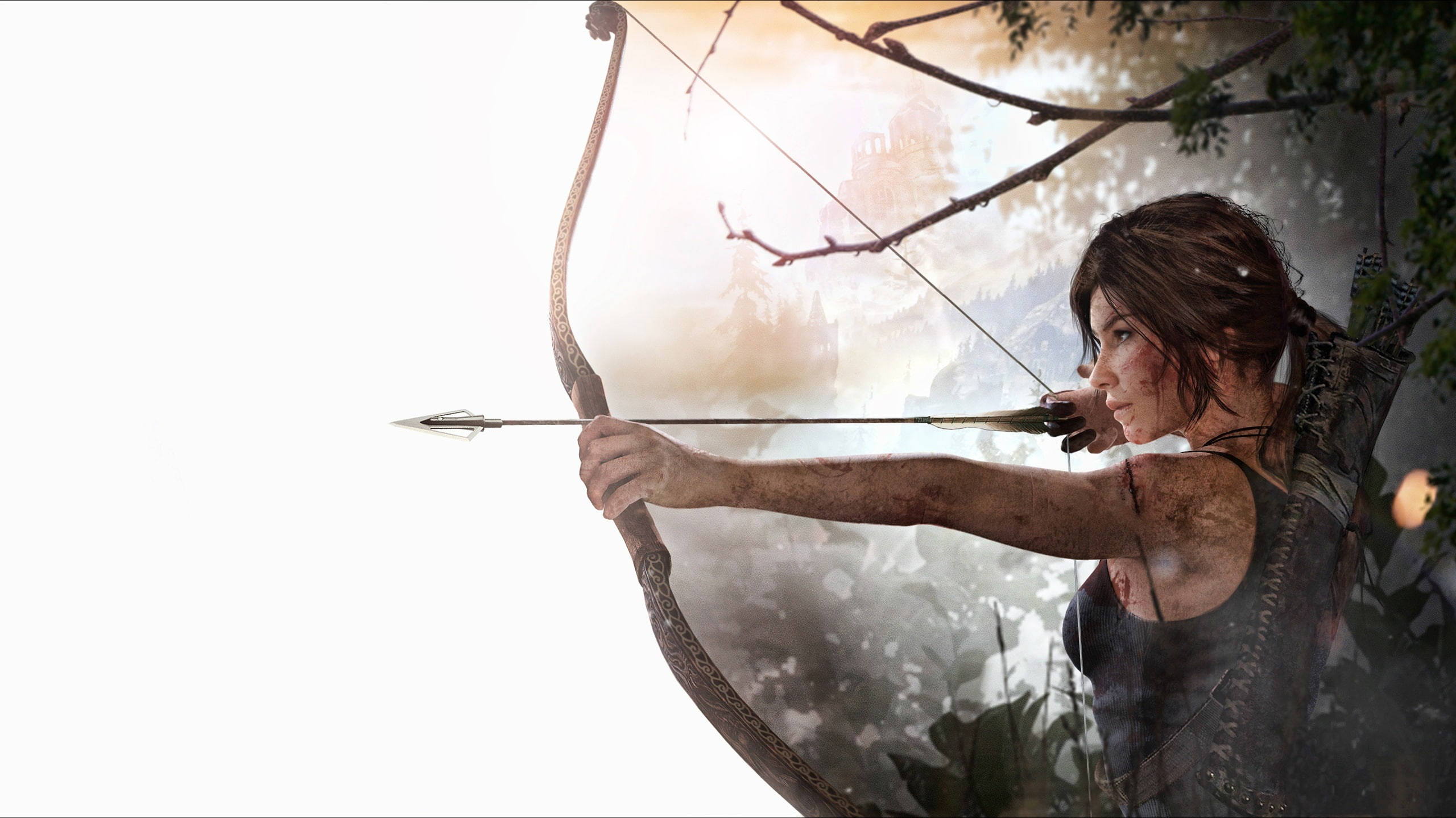 2560 X 1440 Tomb Raider Heroic Lara Croft