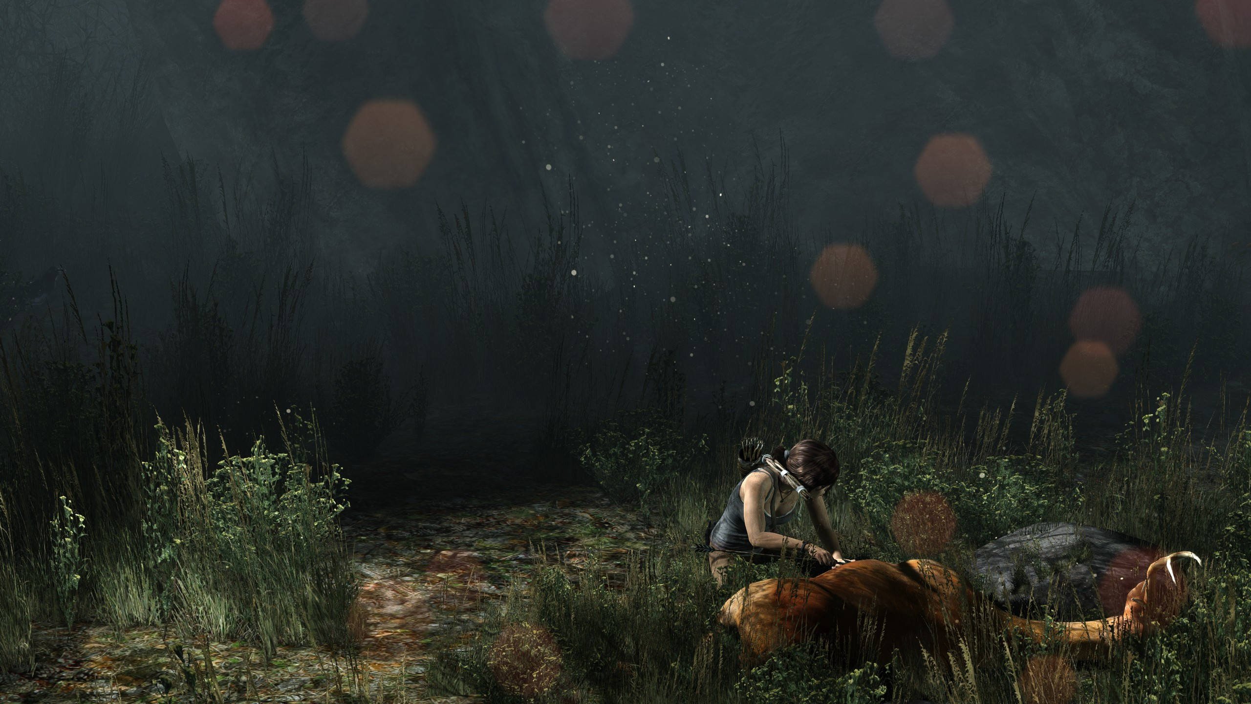 2560 X 1440 Tomb Raider Hunter Lara Background