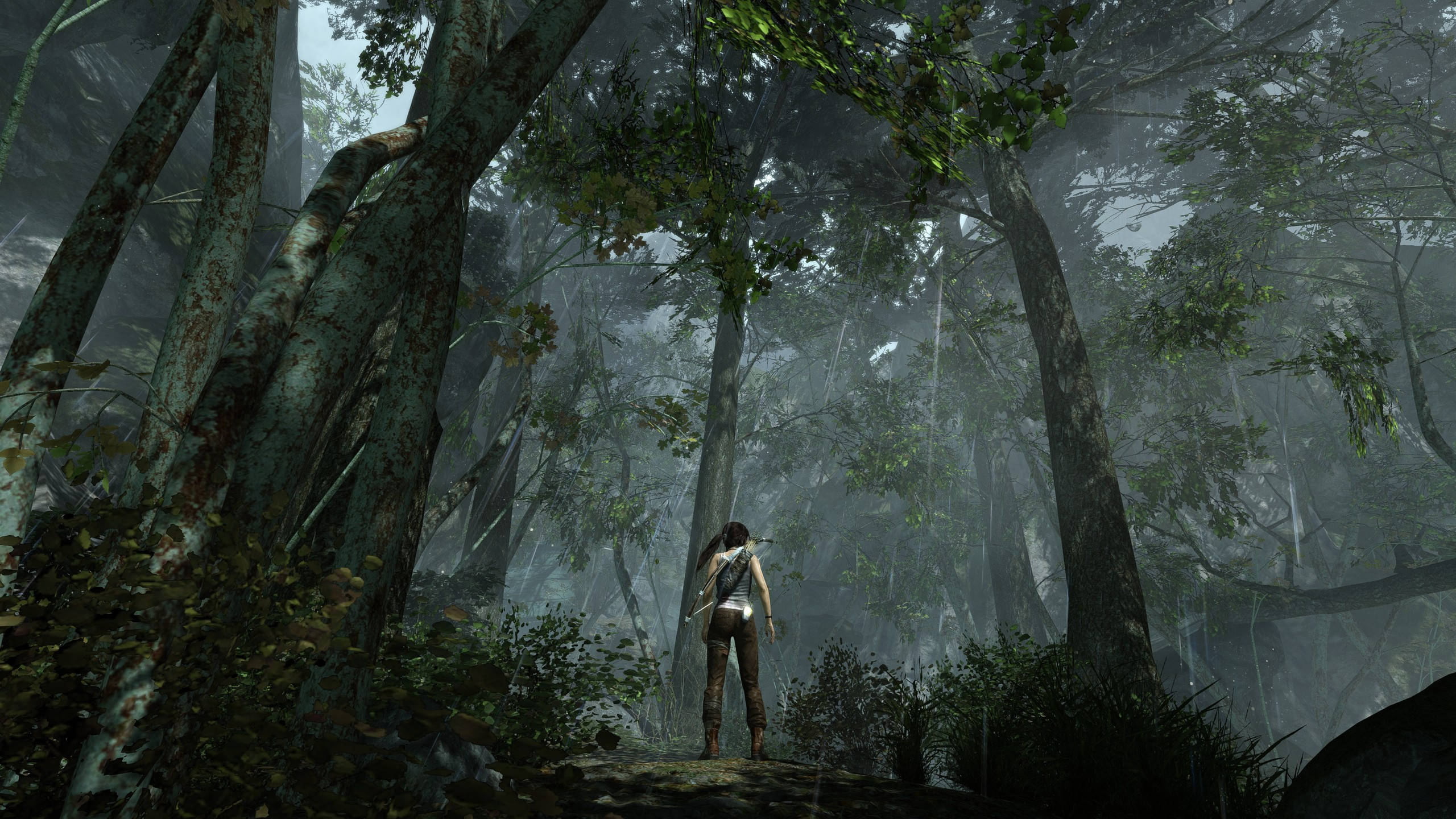 2560 X 1440 Tomb Raider Lara Croft Still Background