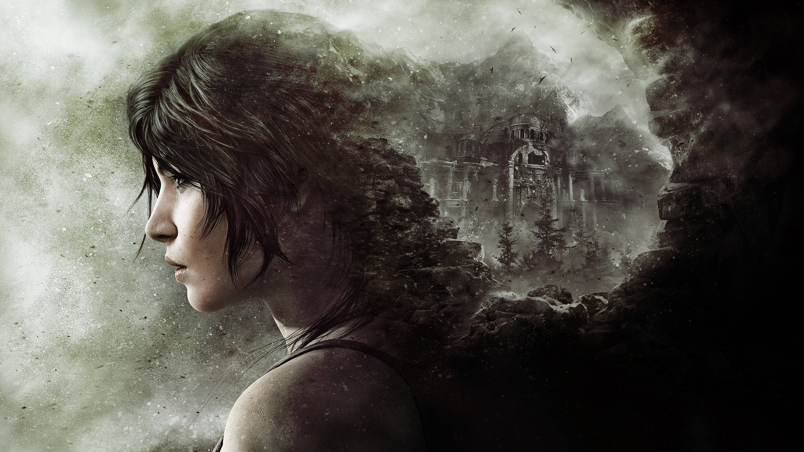 2560 X 1440 Tomb Raider Lara Visual Art