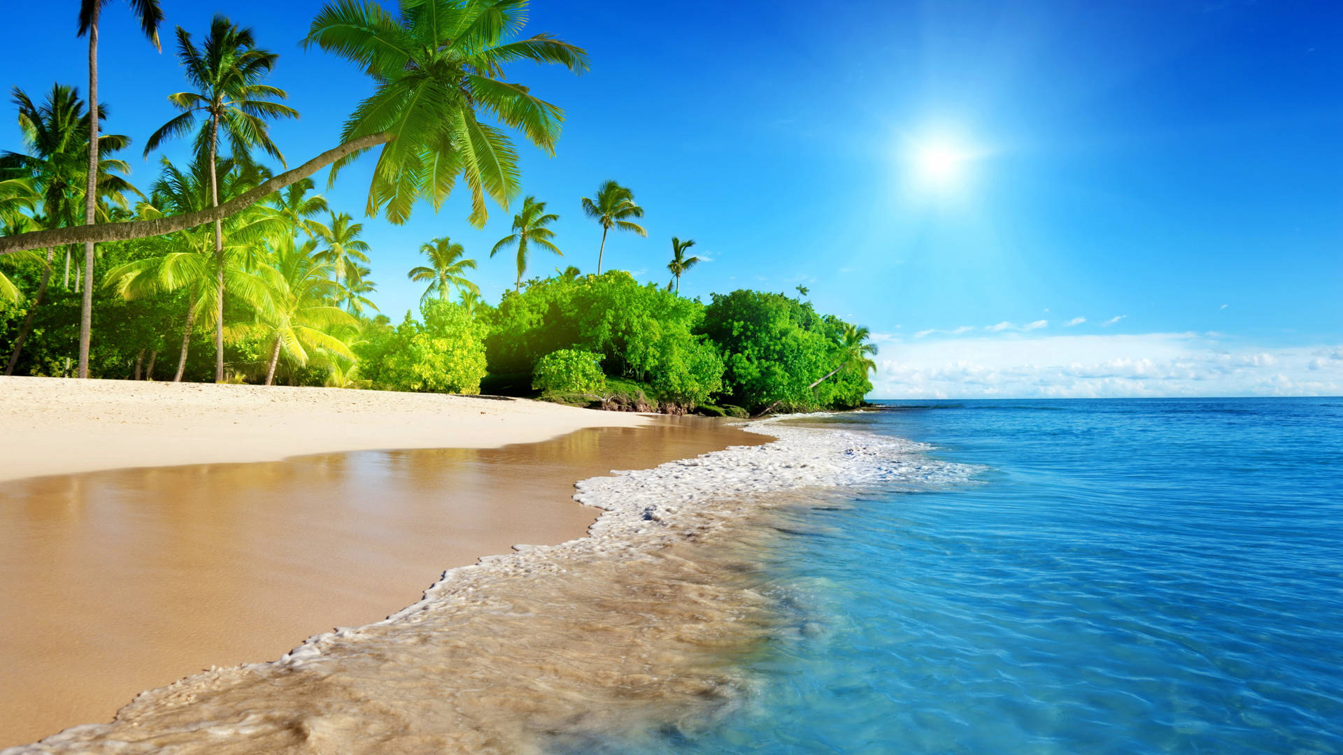 2560 X 1440 Tropical Seascape Background