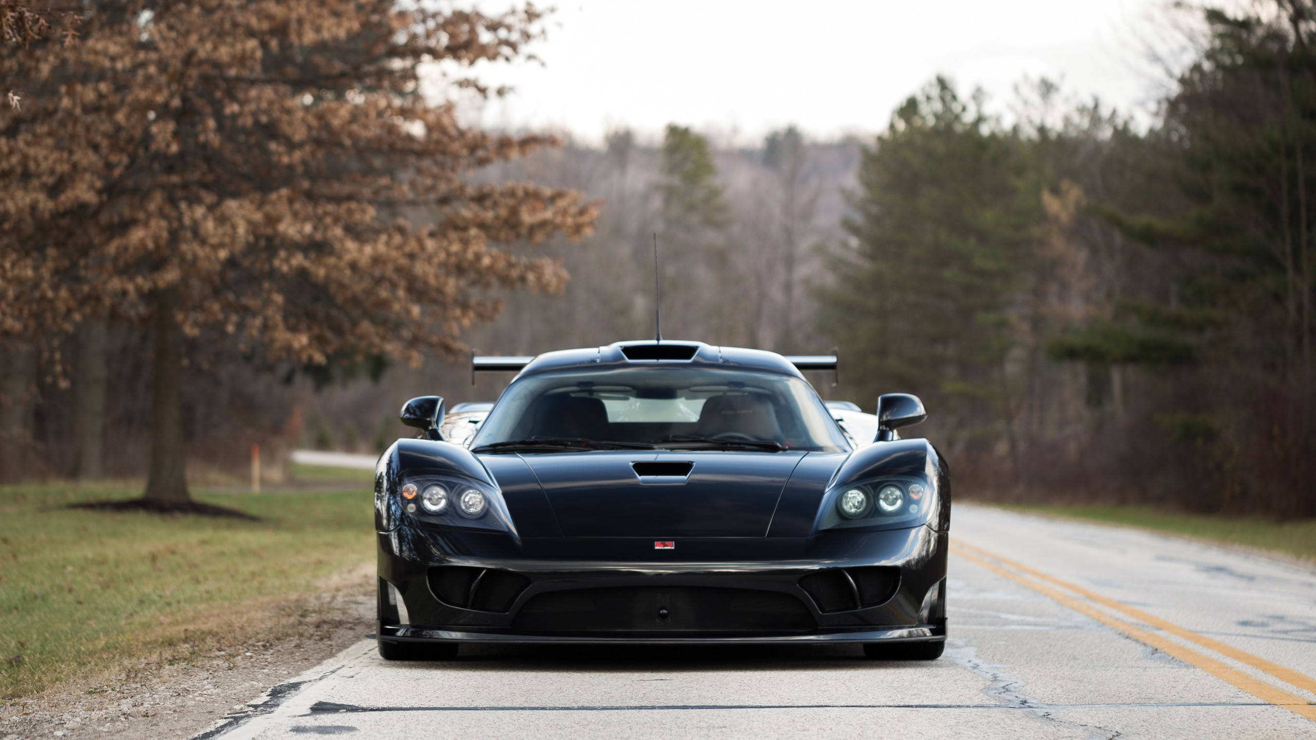 2560x1440 Car Black Saleen S7 Background